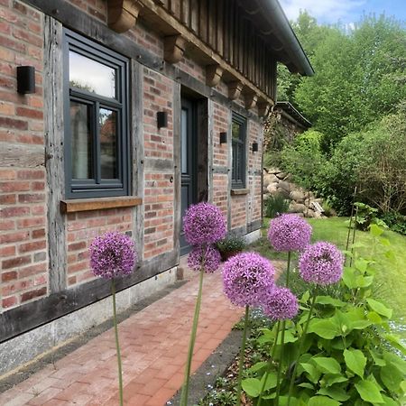 Haus Am Fischendorfer Bach Villa Bad Fallingbostel Eksteriør billede