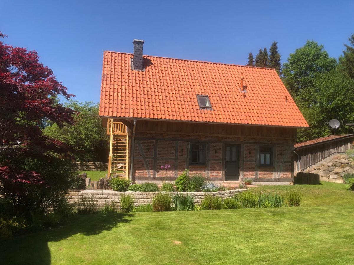 Haus Am Fischendorfer Bach Villa Bad Fallingbostel Eksteriør billede